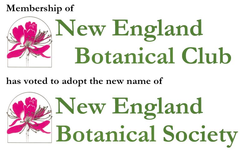 Name change